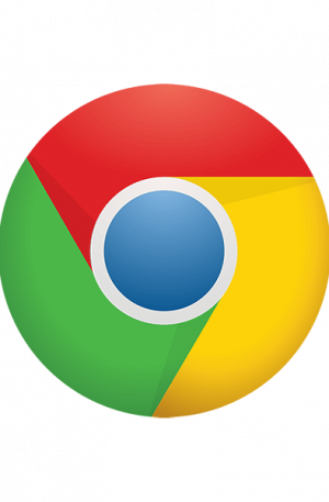 Chrome Non-Profit License